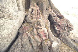Rock-Cut-Sculptures of Kauvadol Hills